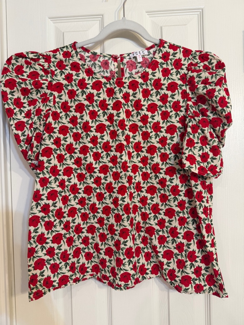 TCEC Red Floral Puff-Sleeve Blouse on Cream